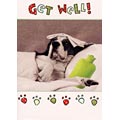Get Well Dog