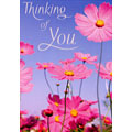 Thinking of You Card Blank
