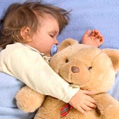 Baby teddy bears