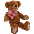 Teddy Bear Manuel