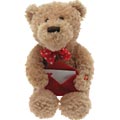 Singing Valentines Bear