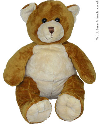 Asthma Friendly Golden Brown Teddy Bear asthma friendly Asthma Friendly Golden Brown Teddy Bear asthma friendly