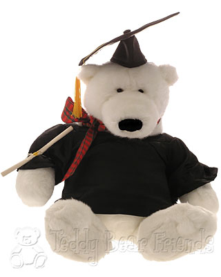 Character Bears Graduation Bear Character Bears Graduation Bear