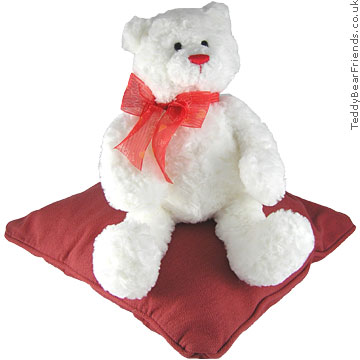 teddy bear valentines day. maltipoo yorkie mixteddy bear
