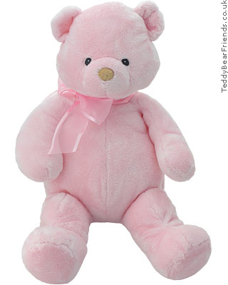 Baby Gund Baby Girls Teddy Bear Baby Gund Baby Girls Teddy Bear