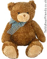 Dylan Bear
