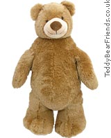 Martin Standing Bear