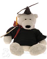 Graduation Bear