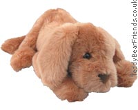 Muttsy Dog