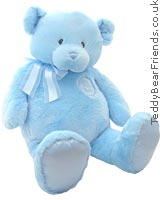 My 1st Teddy Bear