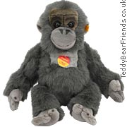 Little Baby Gorilla