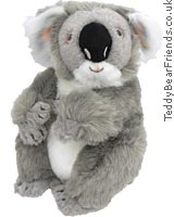 Koala Bear