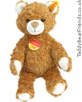 Little Teddy Bear