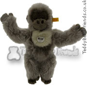 Little Gorilla