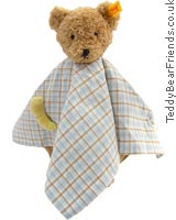 Moon Bear Comforter