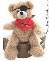 Pirate Bear