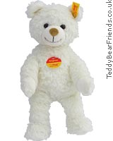 White Teddy Bear