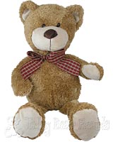 Brown Bear