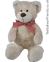 Lucky Teddy Bear