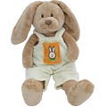 Baby Bunny Rabbit