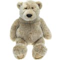 Big Bear Zane