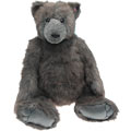 Grizzly Bear Jaden