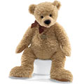 Braydon Bear