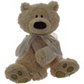 Broken Arm Bear