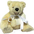 Broken Arm Teddy Bear
