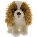 Charles Spaniel