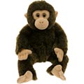 Teddy Hermann Chimpanzee