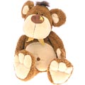 Chunky Bear