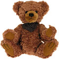 Brown Teddy Bear Finnel