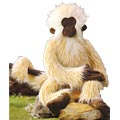 Cuddly Monkey Tanner