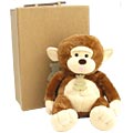 Cuddly Monkey