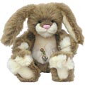 Cute Bunny Rabbit