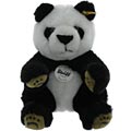 Cute Panda Bear