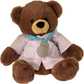 Dr Bear