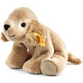 Beanie Golden Retriever