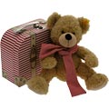 Fynn Teddy Bear in Suitcase
