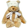 Get Well Teddy