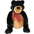 Glacier Black Bear