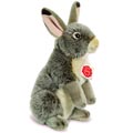 Grey Rabbit
