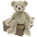 Histoire d'Ours - Grey Shaggy Bear
