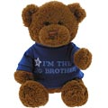 Big Brother Bear