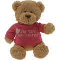 Big Sister Bear