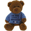 Little Brother Bear