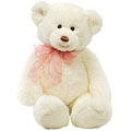 Audrey Teddy Bear