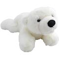 Baby Polar Bear