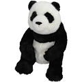 Li Ming Giant Panda Bear